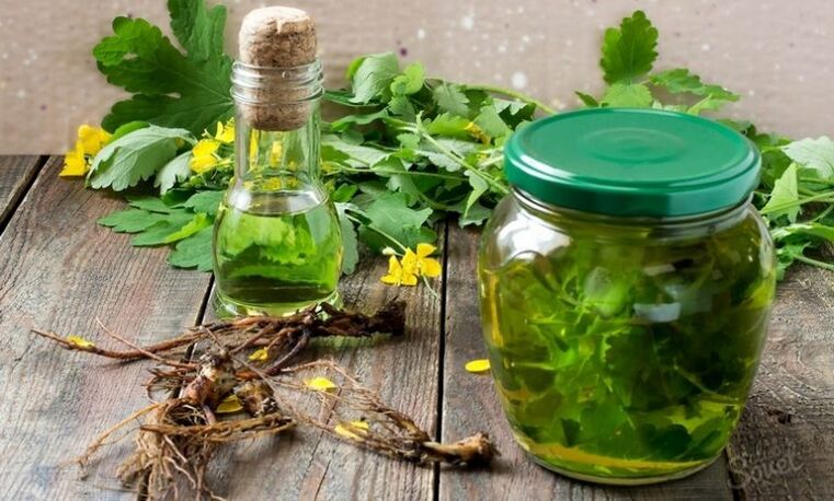 Tırnak mantarı için kırlangıçotu tentürü